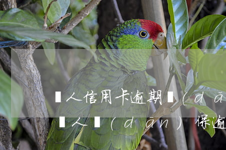 別人信用卡逾期擔(dān)保人會咋樣(幫別人擔(dān)保逾期了會影響征信嗎)