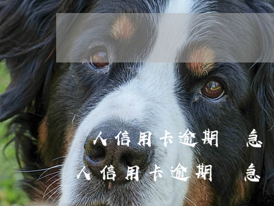 別人信用卡逾期緊急聯(lián)系人(別人信用卡逾期緊急聯(lián)系人是我)