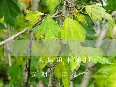 別人信用卡逾期說影響我征信 我媳婦信用卡逾期一年征信會影響到我嗎