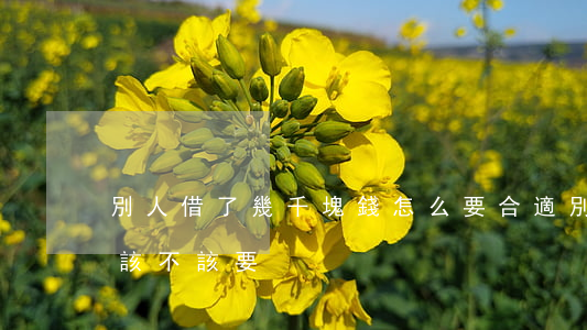 別人借了幾千塊錢怎么要合適(別人借幾塊錢該不該要)