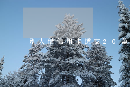 別人借信用卡透支20萬