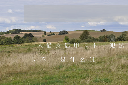 別人借我信用卡不還犯法嗎(借了別人的信用卡不還是什么罪)