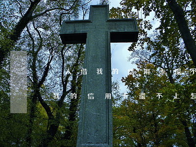 別人借我的信用卡還不上怎么解決-別人借我的信用卡還不上怎么解決呢