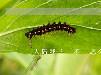 別人借我的錢不還怎么辦(別人借我錢不還咋辦)