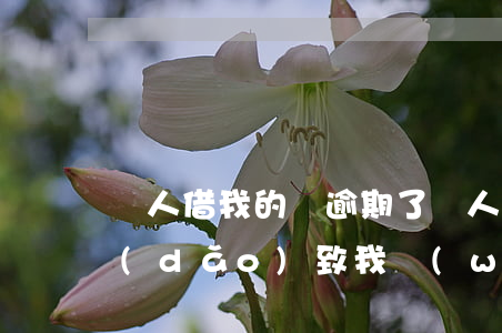 別人借我的錢逾期了(別人借我的錢逾期了導(dǎo)致我網(wǎng)貸的利息可以要求補(bǔ)償)