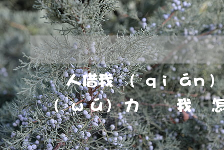 別人借我錢(qián)現(xiàn)無(wú)力償還我該怎么辦-別人借我的錢(qián)沒(méi)錢(qián)還怎么辦