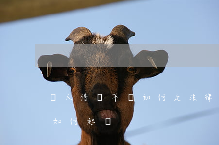 別人借錢不還如何走法律程序（他人借錢不還如何起訴）