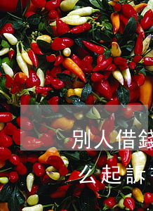 別人借錢不還起訴書怎么寫(借款人不還錢怎么起訴書怎么寫)