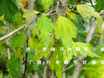 別人借錢只有轉賬記錄能起訴贏嗎-別人借了錢只有轉賬記錄能告嗎