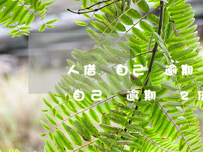 別人借錢自己說逾期給2倍算什么-別人借錢自己說逾期給2倍算什么罪