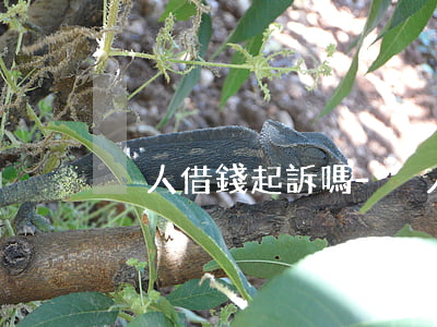 別人借錢起訴嗎-別人借錢不還可以告他嗎