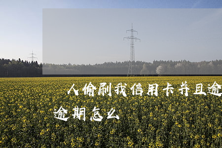 別人偷刷我信用卡并且逾期（信用卡被朋友刷逾期怎么辦）
