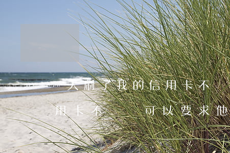 別人刷了我的信用卡不還錢(別人刷了我的信用卡不還錢,可以要求他寫借條嗎)