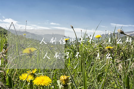 別人刷信用卡不還怎么解決(自己的信用卡被別人刷了不還怎么辦)
