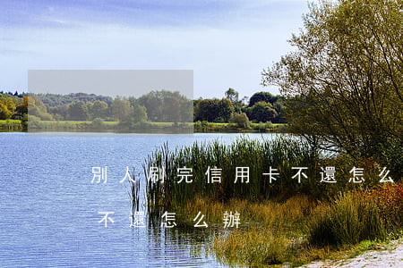 別人刷完信用卡不還怎么辦(別人刷完信用卡不還怎么辦)