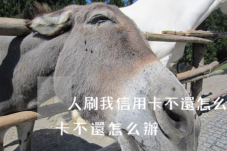 別人刷我信用卡不還怎么辦(被別人刷了信用卡不還怎么辦)