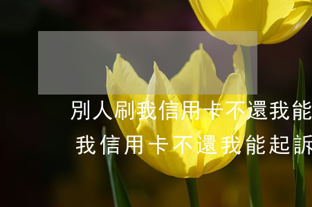 別人刷我信用卡不還我能起訴他嗎-別人刷我信用卡不還我能起訴他嗎怎么辦