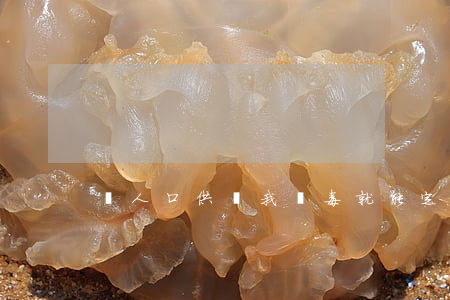別人口供說我販毒就能定罪嗎
