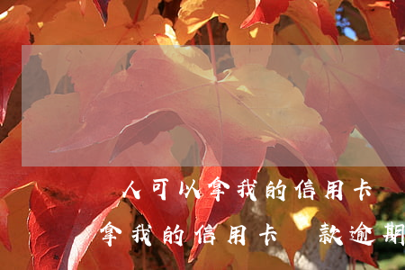 別人可以拿我的信用卡貸款逾期-別人可以拿我的信用卡貸款逾期嗎