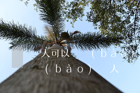 別人可以舉報(bào)違法停車嗎(怎么舉報(bào)別人車違章停車)
