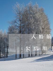 別人婚前欠信用卡女方有影響嗎-別人婚前欠信用卡女方有影響嗎怎么辦