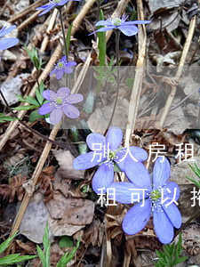 別人房租已經(jīng)逾期一個月了(房租可以拖欠一個月嗎)