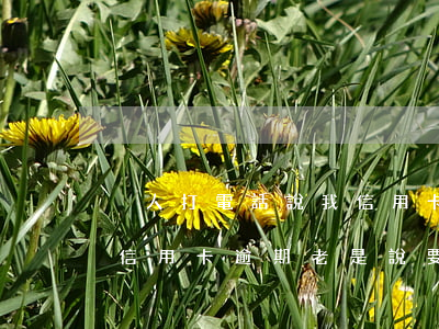 別人打電話說我信用卡逾期被起訴了怎么辦（信用卡逾期老是說要起訴）