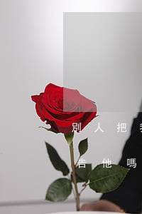 別人把我的信用卡拿去使用之后逾期我可以告他嗎（別人用我信用卡逾期不還怎么辦）