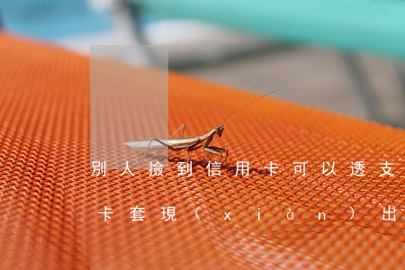 別人撿到信用卡可以透支嗎(撿了別人的信用卡套現(xiàn)出來(lái)能查到嗎)