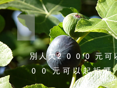 別人欠2000元可以起訴嗎(別人欠我2000元可以起訴嗎)