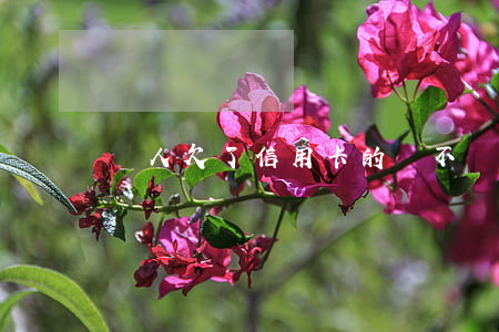 別人欠了信用卡的錢不還