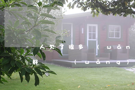 別人欠了很多網(wǎng)貸怎么辦(欠了好幾萬網(wǎng)貸怎么辦)