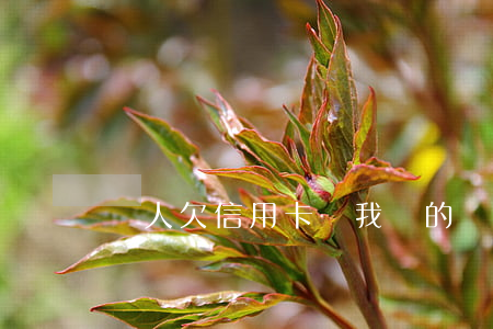 別人欠信用卡給我轉的錢被凍結了