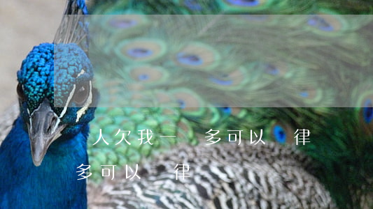 別人欠我一萬多可以請律師嗎(別人欠我一萬多可以請律師嗎)