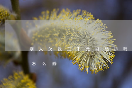 別人欠我三千元能起訴嗎(欠別人三萬被起訴怎么辦)