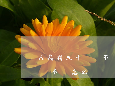 別人欠我五千塊錢不還怎么辦(別人欠我五百塊錢不還怎么辦)