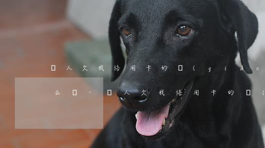 別人欠我信用卡的錢(qián)不還該怎么辦-別人欠我信用卡的錢(qián)不還該怎么辦呢
