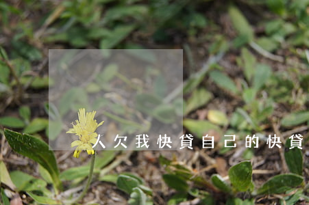 別人欠我快貸(自己的快貸給別人用)