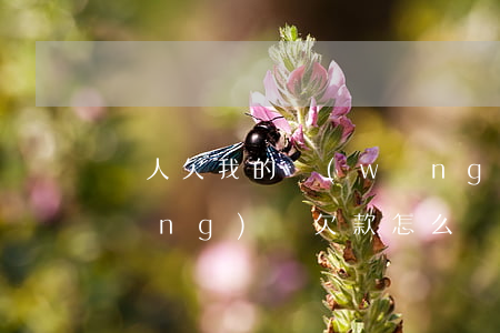 別人欠我的網(wǎng)貸怎么辦(網(wǎng)貸欠款怎么辦)