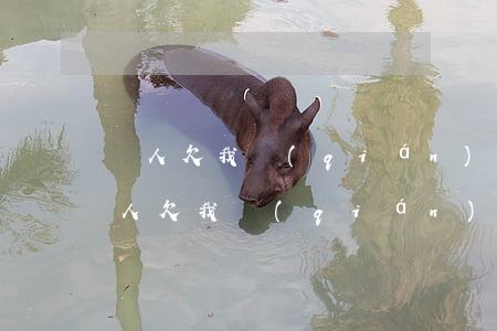 別人欠我錢(qián)不還如何走法律(別人欠我錢(qián)不還沒(méi)有欠條怎么辦如何走法律)