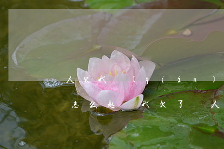 別人欠我錢(qián) 我應(yīng)該怎么起訴(我欠了別人的錢(qián),別人起訴我了,我怎么辦)