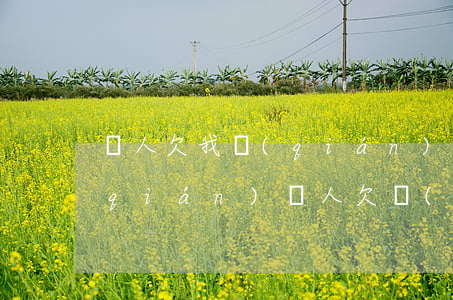 別人欠我錢(qián)找律師要多少錢(qián)（別人欠錢(qián)打官司律師費(fèi)）