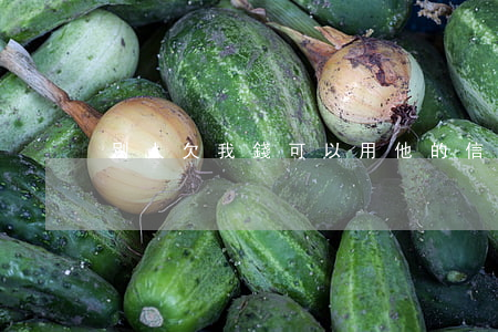 別人欠我錢可以用他的信用卡嗎-