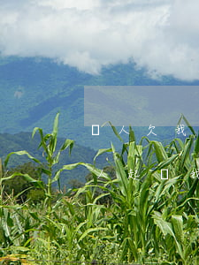 別人欠我錢 我應(yīng)該怎么起訴(別人起訴我欠錢應(yīng)如何應(yīng)對)