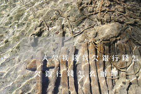 別人欠我錢我欠銀行錢怎么辦(別人欠我錢我欠銀行錢怎么辦理)