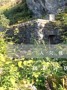 別人欠我錢有欠條怎么起訴(別人欠我錢如何寫起訴狀)