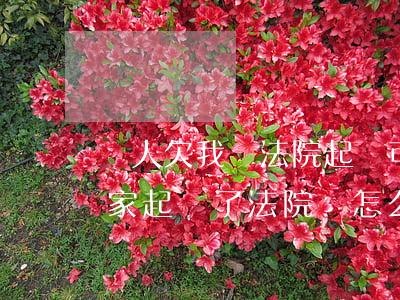 別人欠我錢法院起訴可以嗎(如果欠別人錢人家起訴了法院會怎么樣)