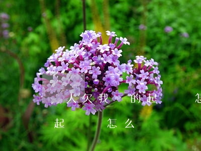 別人欠我錢的起訴狀怎么寫(別人欠我錢不還起訴狀怎么寫?)