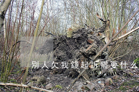 別人欠我錢起訴需要什么材料