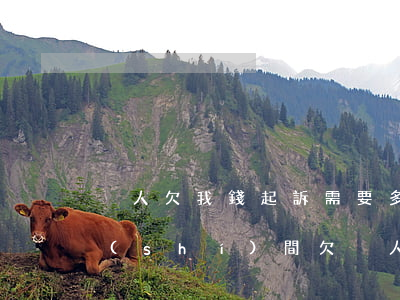 別人欠我錢起訴需要多長(zhǎng)時(shí)間(欠別人錢被起訴,要多久才會(huì)有結(jié)果)
